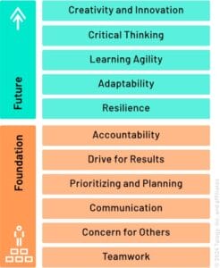 spotlight competencies skills model