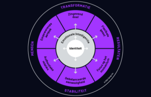 talogy inview framework diagram in dutch